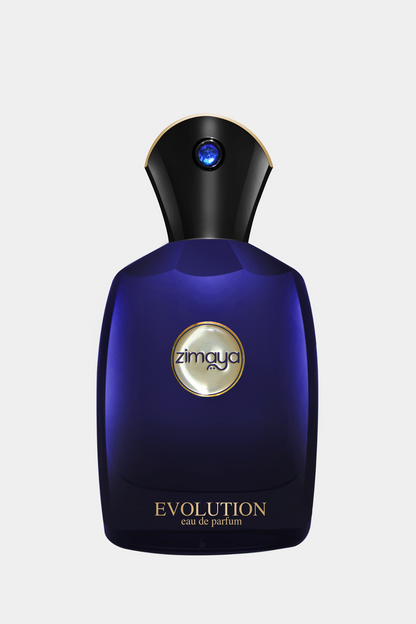 EVOLUTION EDP 100ML